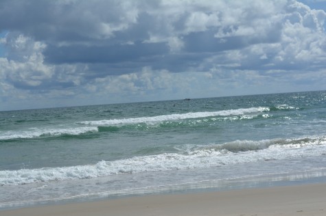 I’d never seen the ocean; so I went