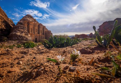 Studying Abroad Through IU Southeast