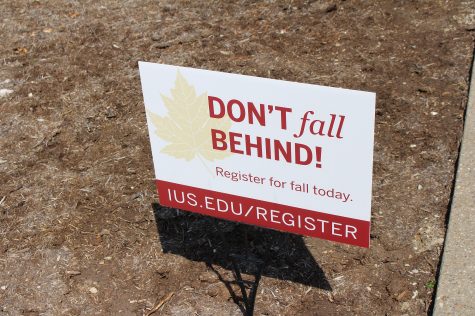 Minor and Double Major Options at IU Southeast