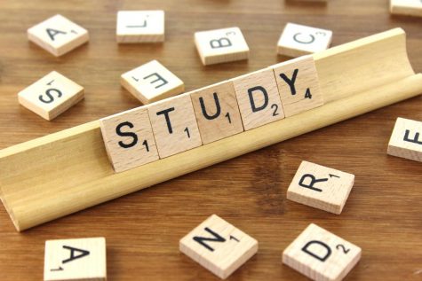 Study Tips for Finals