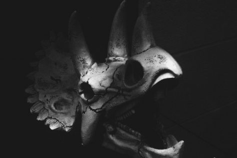 What goes bump in the night at IUS