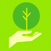 Administration & Sustainability Club Announce New Degree