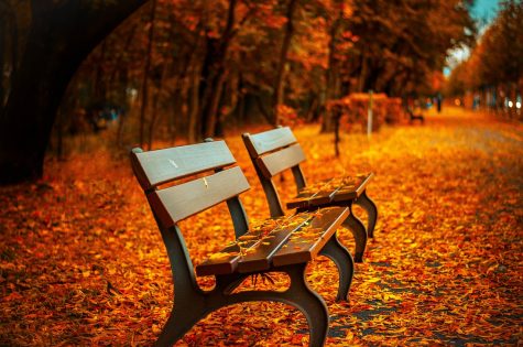 IUS Implements Fall Break This Semester