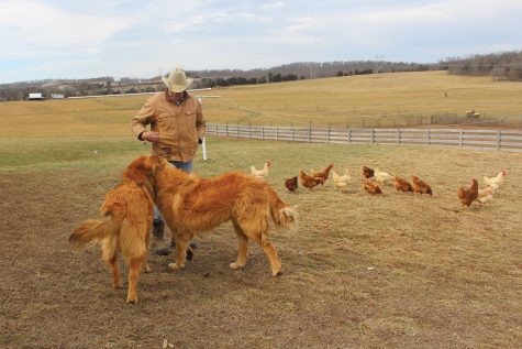 Southern Indiana’s 3D Valley Farm