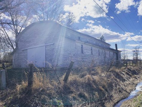 Dilapidated Palaces