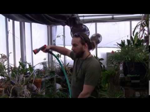 Inside the Greenhouse at IUS