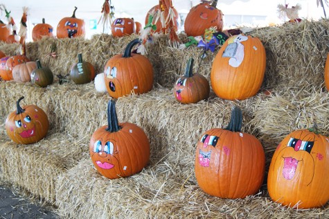 A day at Huber’s Orchard, Winery and Vineyards