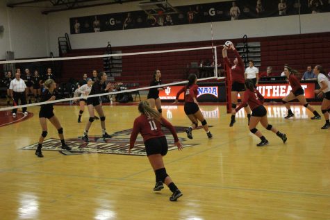 IUS falls to Lindsey Wilson
