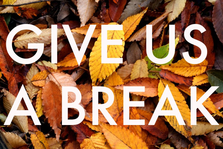 Image result for fall break