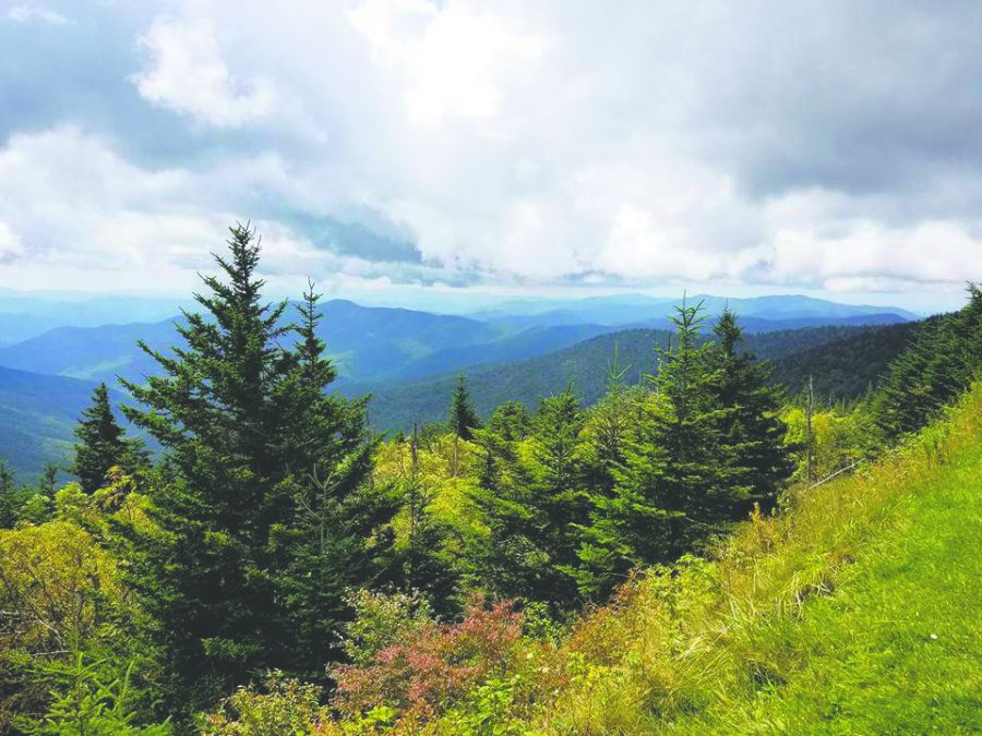 Great+Smoky+Mountains+National+Park.+Photo+by+Shannon+Greer+