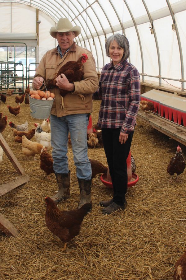 Steve and Jane Carr pose with one of their many free range chickens and a bucket full of freshly-harvested eggs inside their chicken coop.