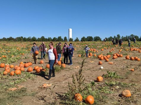 Huber’s: a Kentuckiana fall tradition